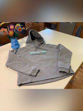 Patagonia uprisal hoodie.  Gray Hoodie with Multicolor Patagonia logo.